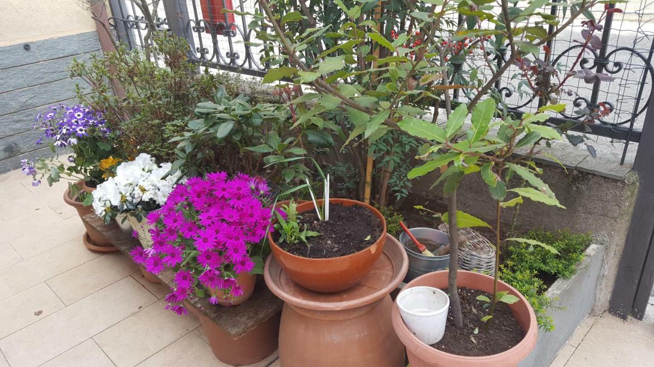 Monteceneri 9 B&B Rho Ngoại thất bức ảnh